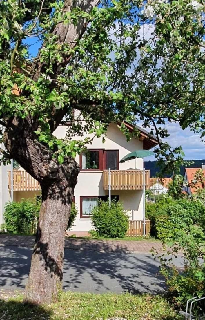 Kleinod Am Kurpark Apartment Bad Zwesten Exterior photo